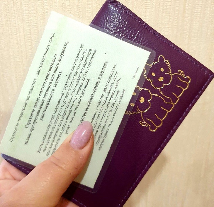 паспорт, снилс