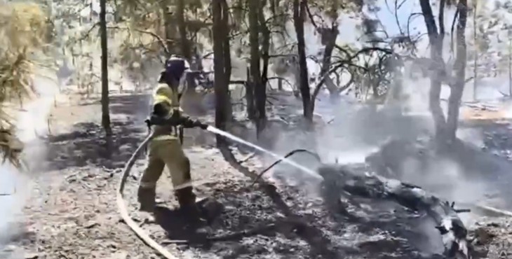 ландшафтный пожар