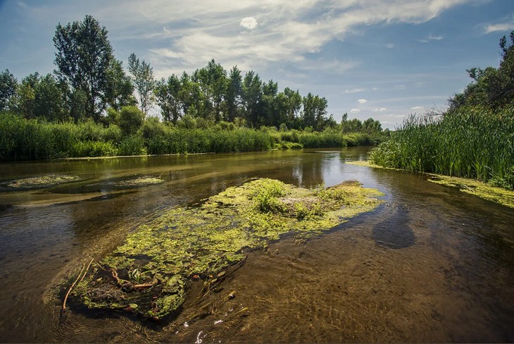 жара