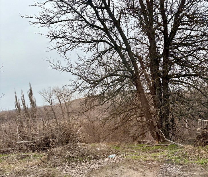 Народные приметы