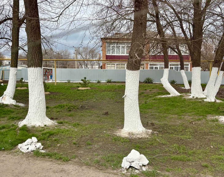 Народные приметы