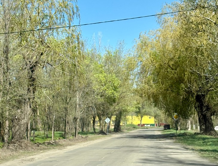 Народные приметы