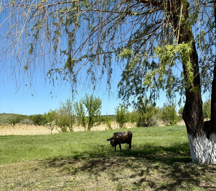 Народные приметы