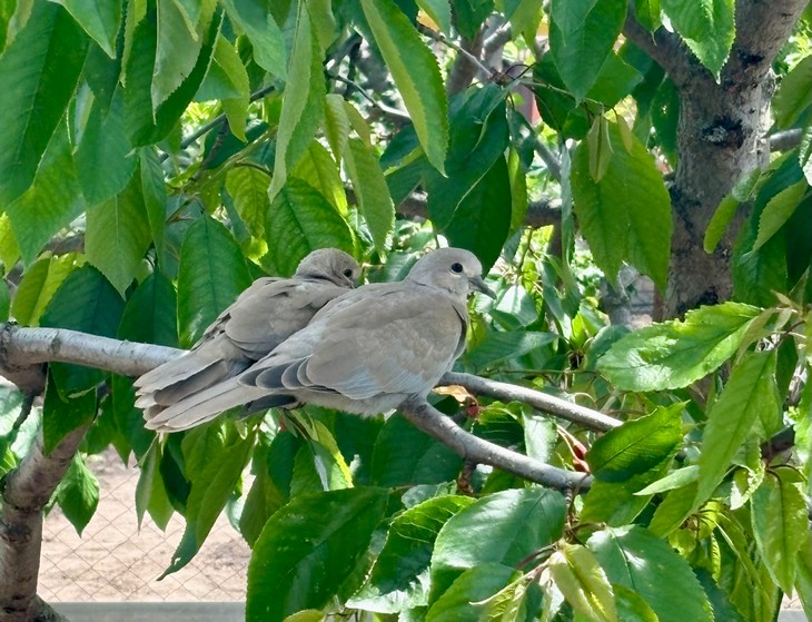 Народные приметы