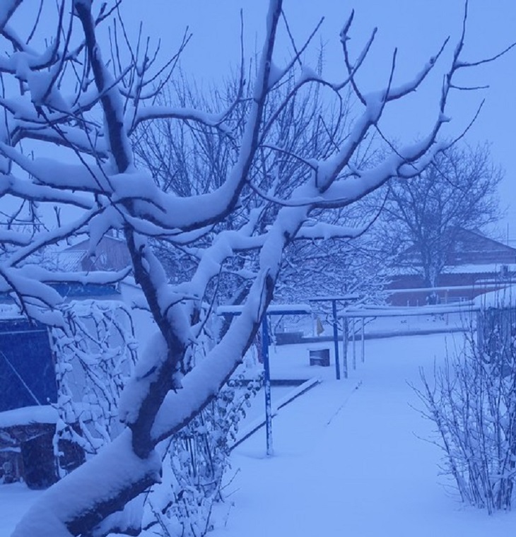 Жителей Ростовской области