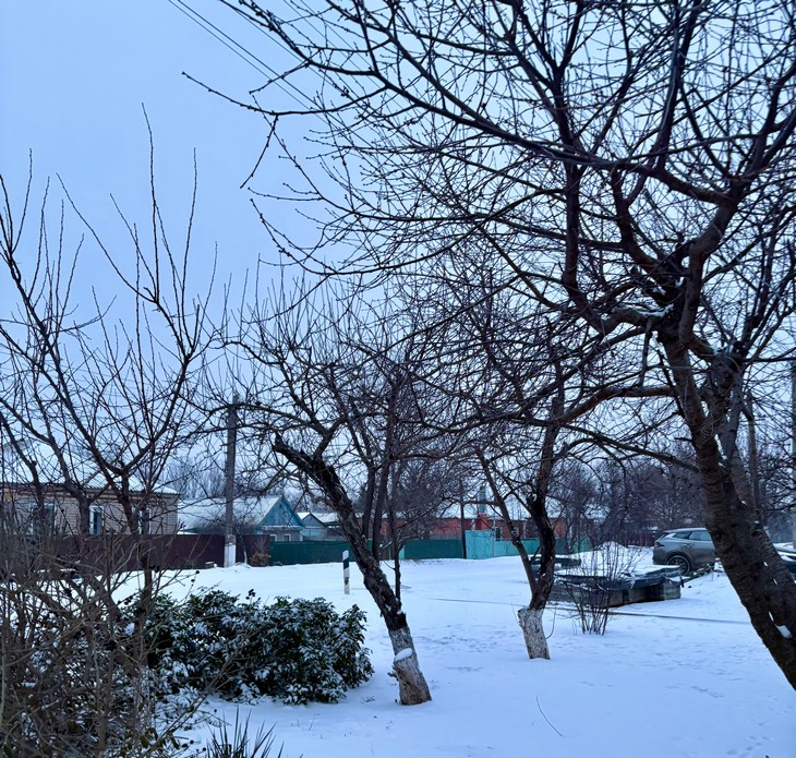 природа, зима