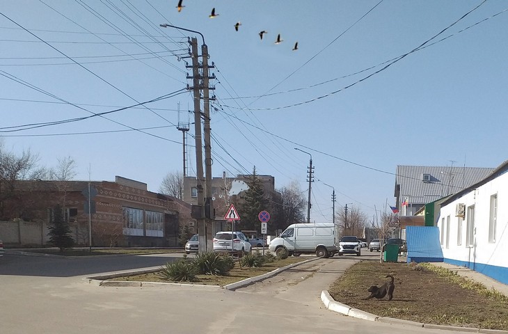 Тарасовский