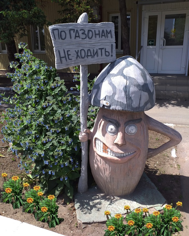 гриб