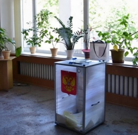 выборы