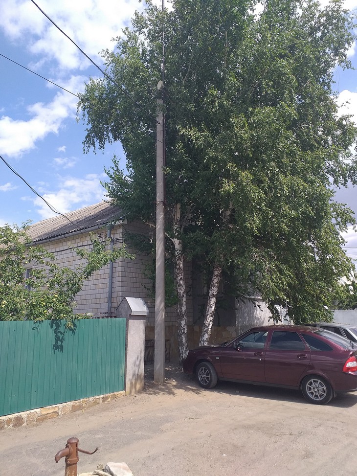 31 июля