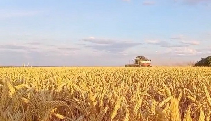 Хлебоуборочная кампания