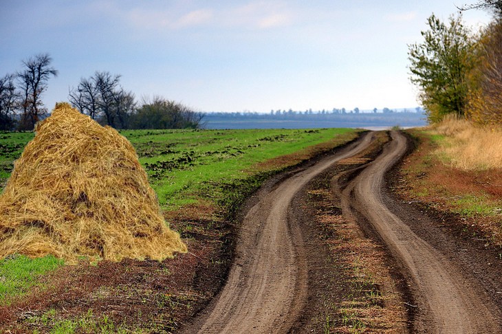 полевая дорога